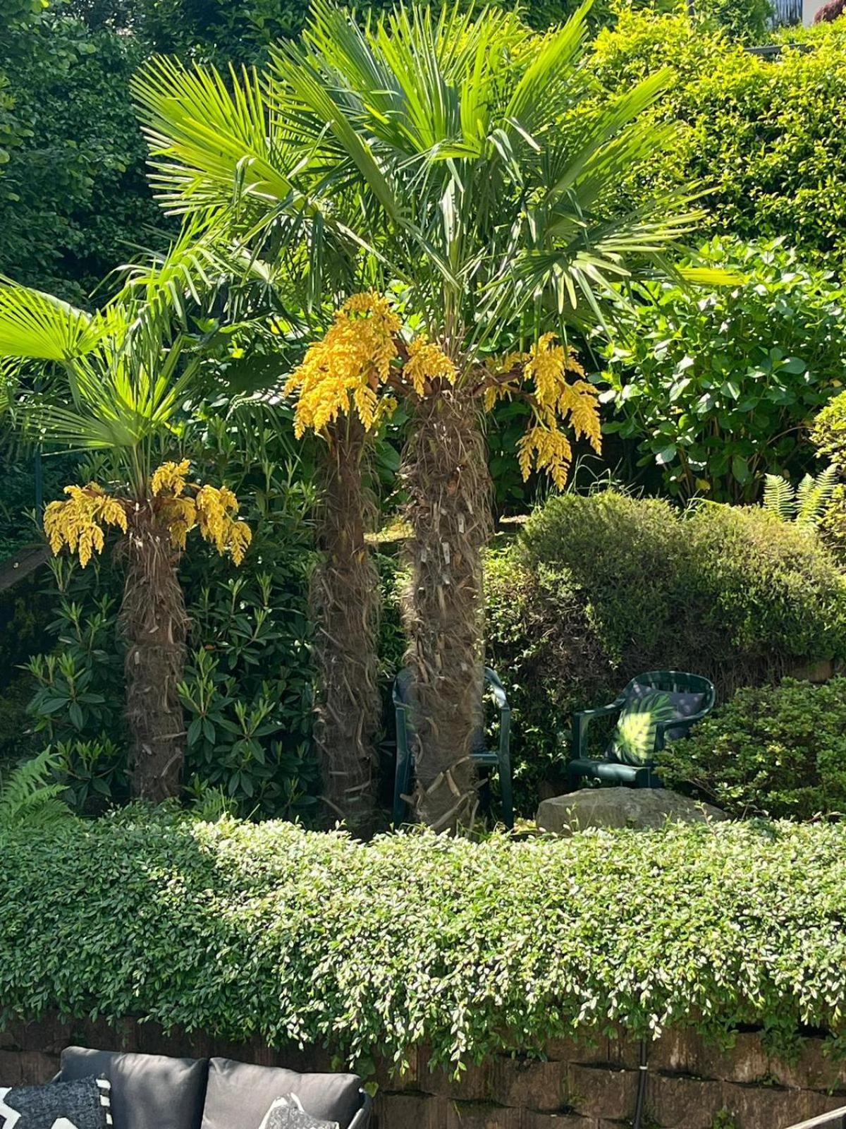 Miralago Stresa Luaran gambar